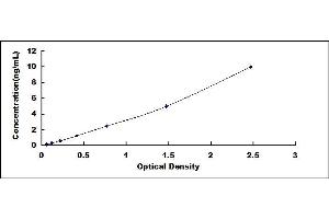 Typical standard curve (NADPH Oxidase 4 ELISA 试剂盒)