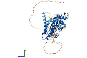 Protein Structure (PS) image for Nuclear Receptor Subfamily 2, Group F, Member 6 (NR2F6) (AA 1-404) protein (His tag) (ABIN7554787)