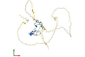Protein Structure (PS) image for ZFP36 Ring Finger Protein-Like 1 (ZFP36L1) (AA 1-338) protein (His tag) (ABIN7562993)