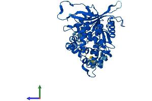 Protein Structure (PS) image for Epoxide Hydrolase 1, Microsomal (Xenobiotic) (EPHX1) (AA 1-455) protein (His tag) (ABIN7560942)