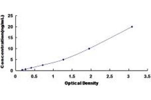 Typical standard curve (SLC17A7 ELISA 试剂盒)