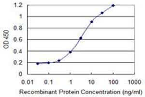 Detection limit for recombinant GST tagged PHF7 is 0. (PHF7 抗体  (AA 258-357))
