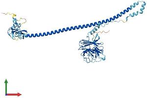 Protein Structure (PS) image for Tripartite Motif Containing 50 (TRIM50) (AA 1-483) protein (His tag) (ABIN7558470)