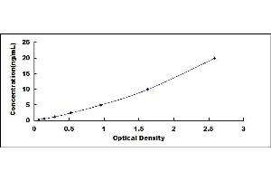 Typical standard curve (OAS1A ELISA 试剂盒)