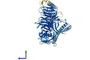 Protein Structure (PS) image for Bardet-Biedl Syndrome 2 (BBS2) (AA 1-721) protein (His tag) (ABIN7564952)