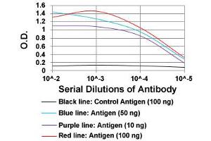 ELISA analysis of CTNNBL1 monoclonal antibody, clone 1E4F5  at 1:10000 dilution.