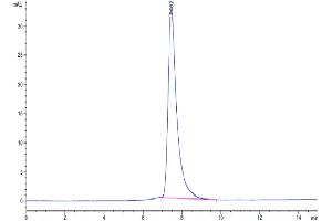 Size-exclusion chromatography-High Pressure Liquid Chromatography (SEC-HPLC) image for Colony Stimulating Factor 3 Receptor (Granulocyte) (CSF3R) (AA 26-626) protein (His tag) (ABIN7274784)
