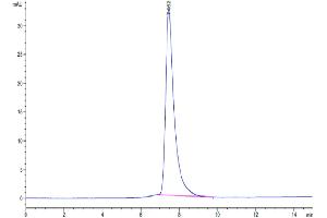 The purity of Mouse G-CSF R is greater than 95 % as determined by SEC-HPLC. (CSF3R Protein (AA 26-626) (His tag))