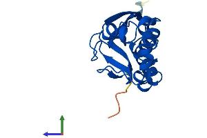 Protein Structure (PS) image for PPPDE Peptidase Domain Containing 2 (PPPDE2) (AA 1-168) protein (His tag) (ABIN7547040)