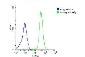 Overlay histogram showing U-2OS cells stained with (ABIN654726 and ABIN2844414) (green line). (MLZE 抗体  (AA 218-246))