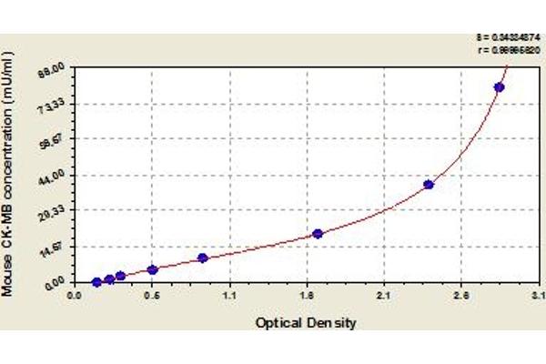 Creatine Kinase MB ELISA 试剂盒