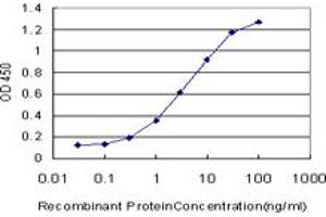 Detection limit for recombinant GST tagged LDB3 is approximately 0. (LIM Domain Binding 3 Protein 抗体  (AA 1-283))
