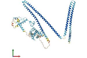 AlphaFold protein structure predicition of Mouse Recombinant Ccdc22 Protein, UniprotID Q9JIG7 (CCDC22 Protein (AA 1-627) (His tag))