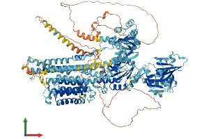Protein Structure (PS) image for ATPase, Ca++ Transporting, Plasma Membrane 2 (ATP2B2) (AA 1-1243) protein (His tag) (ABIN7552398)
