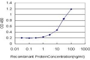 Detection limit for recombinant GST tagged SAP30 is approximately 1ng/ml as a capture antibody. (SAP30 抗体  (AA 131-219))