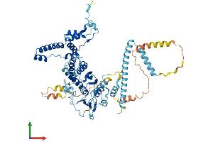 AlphaFold protein structure predicition of Mouse Recombinant Pes1 Protein, UniprotID Q9EQ61
