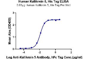 ELISA image for Kallikrein 5 (KLK5) (AA 23-293) protein (His tag) (ABIN7275095)