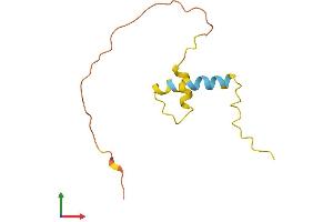 AlphaFold protein structure predicition of Human Recombinant C8orf17 Protein, UniprotID Q9NRJ1