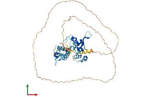 Protein Structure (PS) image for Melanoma Antigen Family B, 6 (MAGEB6) (AA 1-407) protein (His tag) (ABIN7549192)
