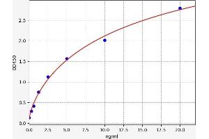 Heat Shock Protein 70 (HSP70) ELISA Kit