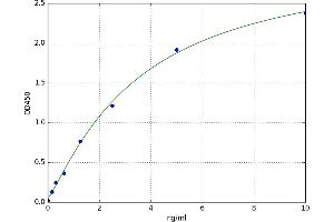 A typical standard curve (HOGA1 ELISA 试剂盒)