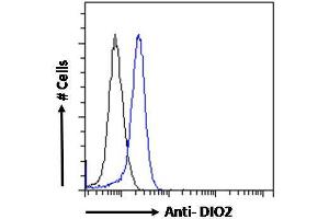 Flow Cytometry (FACS) image for anti-Deiodinase, Iodothyronine, Type II (DIO2) (Internal Region) antibody (ABIN190862)