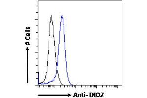 ABIN190862 Flow cytometric analysis of paraformaldehyde fixed MCF7 cells (blue line), permeabilized with 0. (DIO2 抗体  (Internal Region))