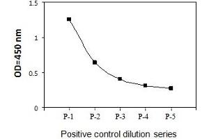 HeLa cells were treated with Calyculin A. (ATF2 ELISA 试剂盒)