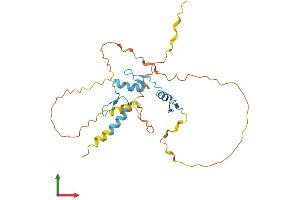 Protein Structure (PS) image for Odd-Skipped Related 1 (OSR1) (AA 1-266) protein (His tag) (ABIN7550329)