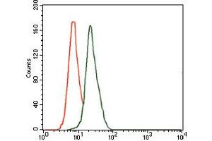 Image no. 3 for anti-delta-Like 4 (DLL4) antibody (ABIN1497856) (DLL4 抗体)