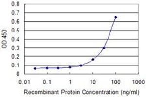 Detection limit for recombinant GST tagged SP1 is approximately 10ng/ml as a capture antibody. (SP1 抗体  (AA 522-618))