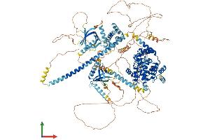 AlphaFold protein structure predicition of Mouse Recombinant Tbc1d4 Protein, UniprotID Q8BYJ6