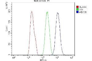 Flow Cytometry analysis of PC-3 cells using anti-MRP5/ABCC5 antibody (ABIN7602224).