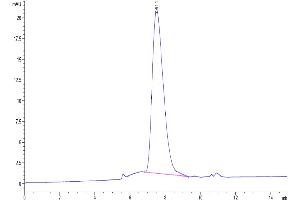 Size-exclusion chromatography-High Pressure Liquid Chromatography (SEC-HPLC) image for Programmed Cell Death 1 Ligand 2 (PDCD1LG2) protein (His-Avi Tag) (ABIN7275432)