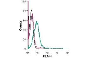 Cell surface detection of GLUT1 in live intact human Jurkat T-cell leukemia cells: (black line) Cells. (GLUT1 抗体  (Extracellular))