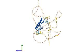 AlphaFold protein structure predicition of Human Recombinant LEF1 Protein, UniprotID Q9UJU2