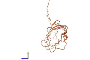 AlphaFold protein structure predicition of Human Recombinant PLAC4 Protein, UniprotID Q8WY50