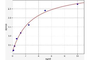 Typical standard curve (VCP ELISA 试剂盒)