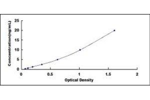 Typical standard curve (IFIH1 ELISA 试剂盒)