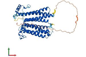 Protein Structure (PS) image for Cytochrome C Oxidase Assembly Homolog 15 (COX15) (AA 1-413) protein (His tag) (ABIN7558690)