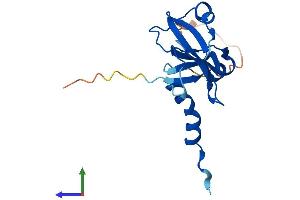 Protein Structure (PS) image for Ribonuclease H2, Subunit C (RNASEH2C) (AA 1-164) protein (His tag) (ABIN7551498)