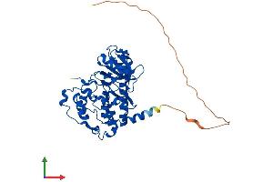 Protein Structure (PS) image for Casein Kinase 2 alpha 1 (CSNK2A1) (AA 1-391) protein (His tag) (ABIN7553581)