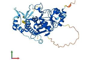 AlphaFold protein structure predicition of Human Recombinant INPP1 Protein, UniprotID P49441