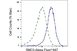 Validation of SMC3 knockdown using flow cytometry. (Recombinant SMC3 抗体)