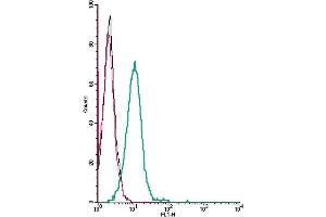 anti-Gastric Inhibitory Polypeptide Receptor (GIPR) (AA 25-38), (Extracellular) antibody