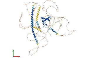 Protein Structure (PS) image for SRY (Sex Determining Region Y)-Box 6 (SOX6) (AA 1-827) protein (His tag) (ABIN7563213)