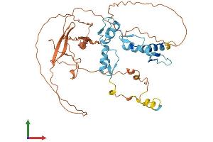 Protein Structure (PS) image for YY1 Transcription Factor (YY1) (AA 1-414) protein (His tag) (ABIN7563575)