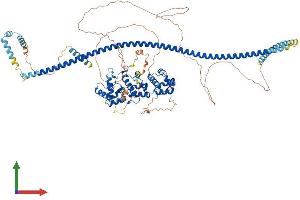 Protein Structure (PS) image for Liprin-beta-2 (PPFIBP2) (AA 1-882) protein (His tag) (ABIN7562369)