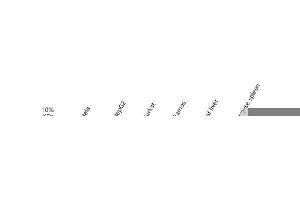 Western blot analysis of MST1/STK4 using anti-MST1/STK4 antibody (ABIN7601330).