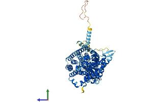 Protein Structure (PS) image for Chloride Channel Ka (CLCNKA) (AA 1-687) protein (His tag) (ABIN7553490)
